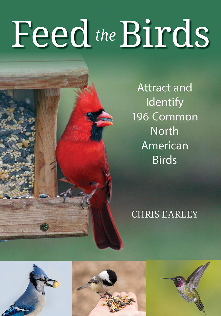 Feed the Birds